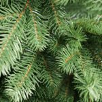 Ялинка штучна лита зелена "Ковалівська" 2.2 метра - Зображення 3